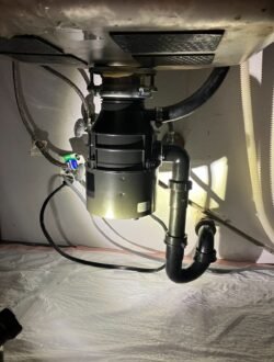 Photo Dec 03 2025, 9 50 23 PM (1)