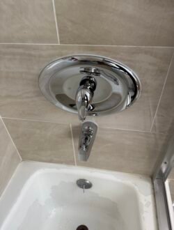 Photo Jul 14 2025, 3 08 29 PM